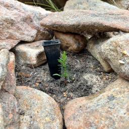 49_CLT_Gents_Trek_2024_original